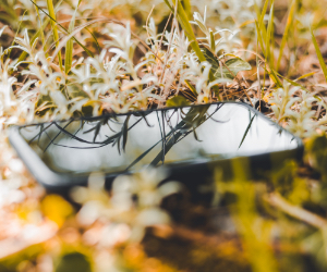 スニーカーやスマホのコーティングをお考えなら | 汚れにくい